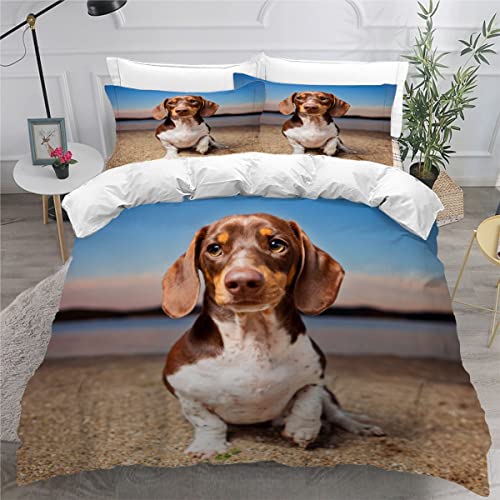 AOYNP Bettwäsche 135x200 Dackel Bettbezug Set 3 teilig Weich Microfaser Bettwaren Süß Tier Hund Bettwäsche-Set für Kinder Teenager ReißVerschluss Bettbezug Mit 2 Kissenbezug 80x80cm von AOYNP