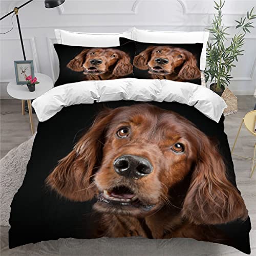 AOYNP Bettwäsche 155x200 Irish Setter Bettbezug Set Weich Microfaser Bettwaren Haustier Welpe Bettwäsche-Set für Jungen Mädchen Bettbezug Mit ReißVerschluss und 2 Kissenbezug 80x80cm von AOYNP