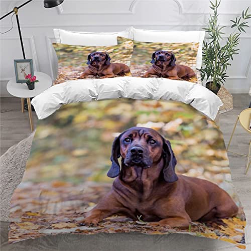 Bettwäsche 135x200 Bayerischer Gebirgshund Bettbezug Set 3 teilig Weich Microfaser Bettwaren Süß Tier Hund Bettwäsche-Set für Kinder Teenager ReißVerschluss Bettbezug Mit 2 Kissenbezug 80x80cm von AOYNP