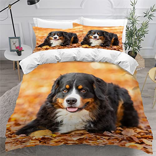 Bettwäsche 135x200 Berner Sennenhund Im Herbst Bettbezug Set 3 teilig Weich Microfaser Bettwaren Süß Tier Hund Bettwäsche-Set für Kinder Teenager ReißVerschluss Bettbezug Mit 2 Kissenbezug 80x80cm von AOYNP