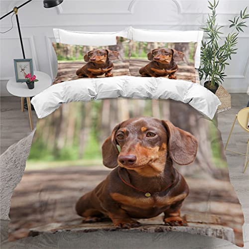 AOYNP Bettwäsche 135x200 Dackel Bettbezug Set 3 teilig Weich Microfaser Bettwaren Süß Tier Hund Bettwäsche-Set für Kinder Teenager ReißVerschluss Bettbezug Mit 2 Kissenbezug 80x80cm von AOYNP