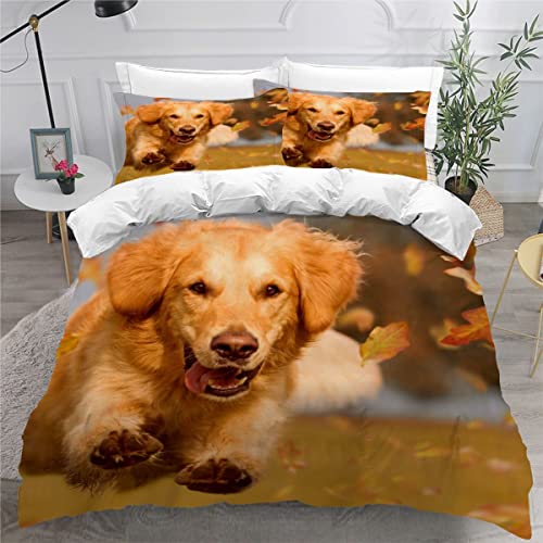 Bettwäsche 135x200 Golden Retriever HerbstbläTter Bettbezug Set 3 teilig Weich Microfaser Bettwaren Süß Tier Hund Bettwäsche-Set für Kinder Teenager ReißVerschluss Bettbezug Mit 2 Kissenbezug 80x80cm von AOYNP