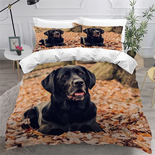 Bettwäsche 135x200 Schwarzer Labrador Bettbezug Set 3 teilig Weich Microfaser Bettwaren Süß Tier Hund Bettwäsche-Set für Kinder Teenager ReißVerschluss Bettbezug Mit 2 Kissenbezug 80x80cm Bettwäsche 135x200 Schwarzer Labrador Bettbezug Set 3 teilig Weich Microfaser Bettwaren Süß Tier Hund Bettwäsche-Set für Kinder Teenager ReißVerschluss Bettbezug Mit 2 Kissenbezug 80x80cm von AOYNP
