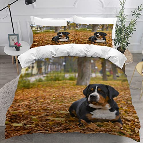 Bettwäsche 135x200 Schweizer Sennenhund Bettbezug Set 3 teilig Weich Microfaser Bettwaren Süß Tier Hund Bettwäsche-Set für Kinder Teenager ReißVerschluss Bettbezug Mit 2 Kissenbezug 80x80cm von AOYNP