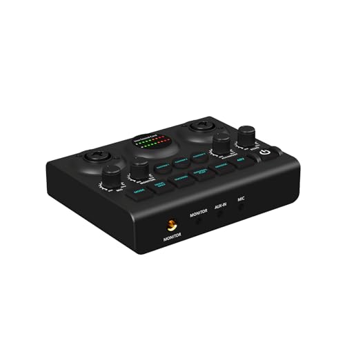 Live-Soundkarte, Doppelmikrofon für professionelle Aufnahmenbedürfnisse in jeder Umgebung für Sänger, Streamer, Podcaster von AOYUDJ