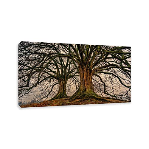 Bild kahle Bäume. Landschaftsbilder auf Leinwand. Drucke auf Leinwand für Wohnzimmer, moderne Bilder Landschaft Drucke Schlafzimmer Bett 36 x 65 cm (14,2 x 25,6 Zoll) Mit Rahmen von APCGSM