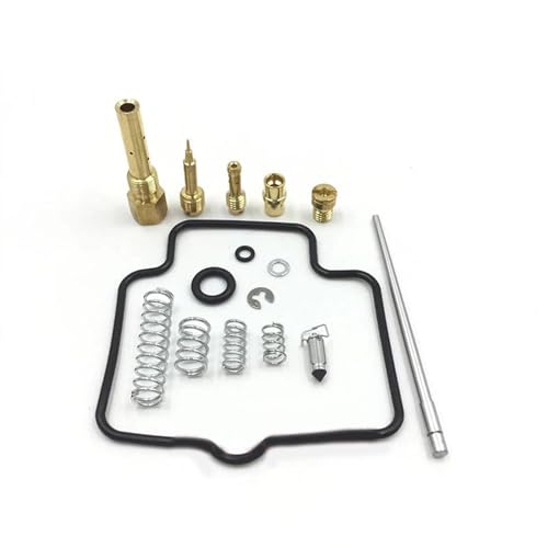APDSFB Vergaser LT-F250 Rebuild Reparatur Kit Vergaser Carb Für S&uzuki Ozark 250 LTF 250 LTF250 2002 2003 2004 2005 2006 2007 2008 2009/2012 von APDSFB