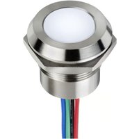Apem - Q22F1CXXW24E LED-Signalleuchte Weiß Flush 150 mcd Apem - Q22F1CXXW24E LED-Signalleuchte Weiß Flush 150 mcd von APEM