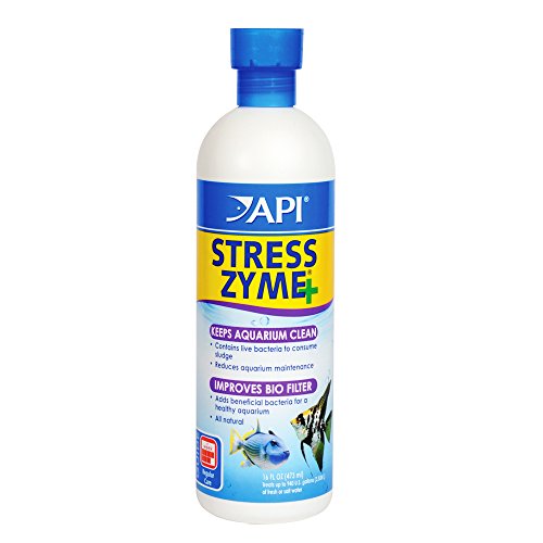 API DE-56E Stress Zyme Reinigungslösung 473 ml Flasche für Süßwasser- und Meerwasseraquarien, M API DE-56E Stress Zyme Reinigungslösung 473 ml Flasche für Süßwasser- und Meerwasseraquarien, M von API