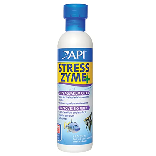 API Stress Zyme Reinigungslösung für Süß- und Salzwasser-Aquarien, Blau und Violett, 237 ml von API