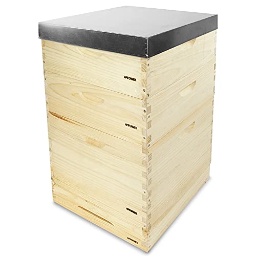 APIFORMES Dadant US (DAD) 12 Waben Beute - Weymouthskiefer von APIFORMES