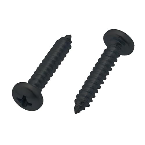 Blechschrauben Schwarz Rundkopf Linsenkopf mit Kreuzschlitz 2.2-3.9 Verzinkt DIN7981 (100, 3.9 x 16) von APM-Trade
