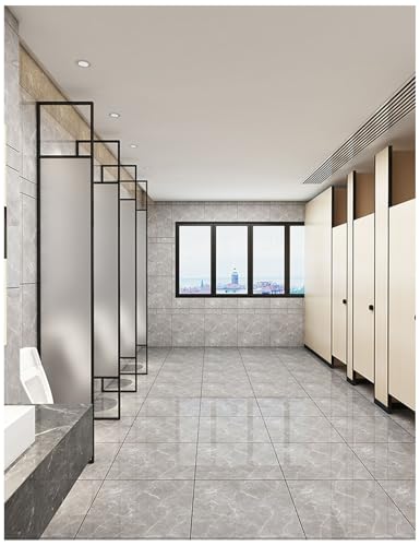 APMOE Urinal Trennwand, Wand-Urinal-Sieb Durchscheinend, WC Urinal Trennwand mit Edelstahlrahmen/Hartglas, Schamwand Pissoir Urinalwand für Schulen Einkaufszentren Öffentliche Büros(D) von APMOE