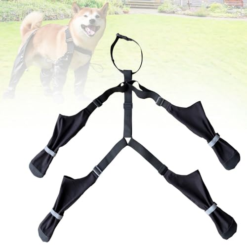 APODESS Hundeschuhe Pfotenschutz Outdoor,2025 Neu Dog Paws Recovery Shoe wasserdichte Hundeschuhe mit Reflektorstreifen für Große Mittelgroße Hunde (M) von APODESS