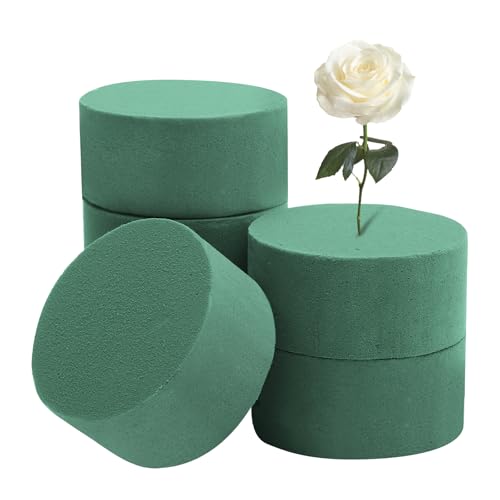 APOMOONS Blumensteckschaum für Blumen 6 Stück, Steckmasse für Kunstblumen, Steckschwamm für Blumen Frisch, 8 cm Steckmoos Schaumstoff Rund für Familien Hochzeiten Blumenläden (Grün) von APOMOONS
