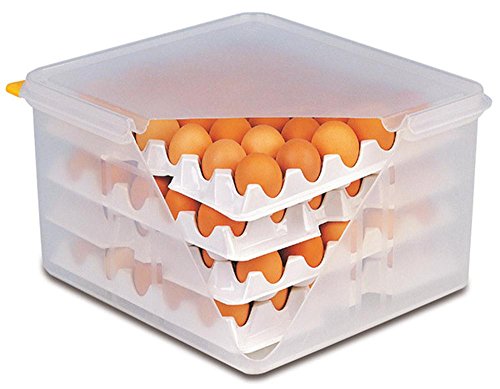 APS 10 Lagen zu Eier-Box, Aufbewahrung für Eier, je Lage á 30 Eier, 28,5 x 28,5 cm, 6,5 cm Höhe von APS