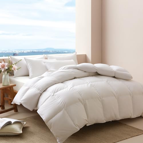 APSMILE Leichte Daunendecke 200x200 Sommer I 100% Bauwolle Bettdecke mit 50% Gänsedaunen & 50% Gänsefedern I Luxuriöse dünne Sommerdecke | Tierwohl Zertifiziert (DOWNPASS) | Oeko-TEX Klasse 1 von APSMILE