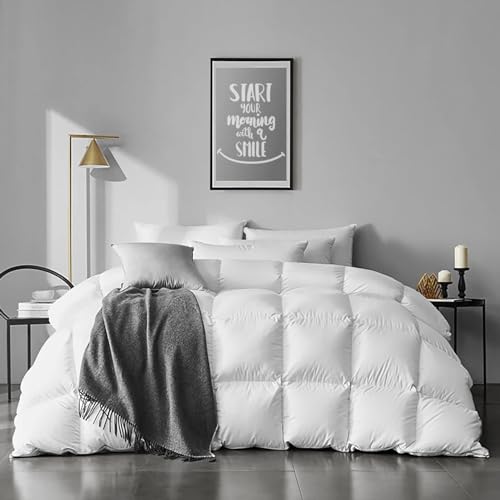 APSMILE Queen Size Goose Feather Down Comforter - Ultra Soft All Seasons 100% Organic Cotton Feather Down Duvet Insert Medium Warm Quilted Bed Comforter with Corner Tabs (90x90,Ivory White) von APSMILE