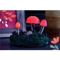 Rote Pilzlampe, Leuchtendes Nachtlicht Mit Natürlichen Trockenblumen, Moos Und Flechten - Usb Betrieben | Micro-Usb-Kabel Enthalten von APT204boutique