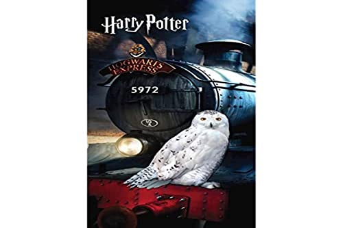 APTEX Harry Potter Hogwarts Hedwig Duschtuch Strandtuch Badetuch 70 x 140 cm von APTEX
