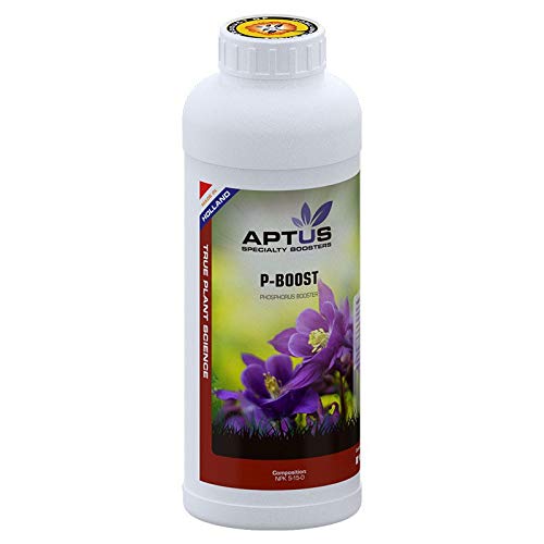 P-Boost 1 l – Aptus von APTUS