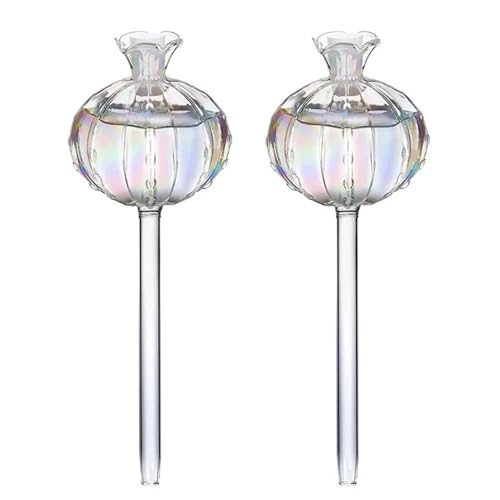 APVPOPOKGM 2 stücke Glas Faul Wasser Tropf Wasser for Home Automatische Bewässerung Werkzeug Pflanze Bewässerung Globen(Clear) von APVPOPOKGM