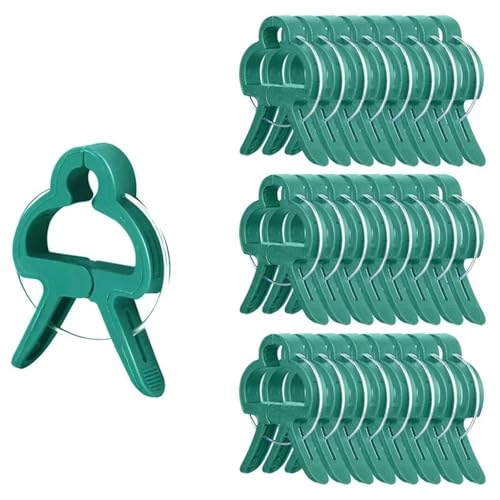 Pflanzenclips 100 Stück Pflanzenklammern, wiederverwendbare Gewächshaushalterungen for Befestigen von Stielen von Blumen, Reben, Gemüse, Tomaten, Befestigungselementen for Gartenbedarf(L,20PCS) von APVPOPOKGM