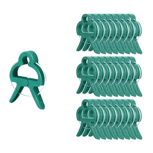 Pflanzenclips 100 Stück Pflanzenklammern, wiederverwendbare Gewächshaushalterungen for Befestigen von Stielen von Blumen, Reben, Gemüse, Tomaten, Befestigungselementen for Gartenbedarf(S,20PCS) von APVPOPOKGM