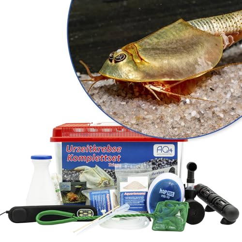 Triops longicaudatus Premium Komplett-Set 6 l mit Urzeitkrebs Eiern, Becken, LED-Beleuchtung, Zuchtansatz, Heizung, Filter, Luftpumpe, Kescher, Futter, Zubehör, Anleitung von AQ4Aquaristik