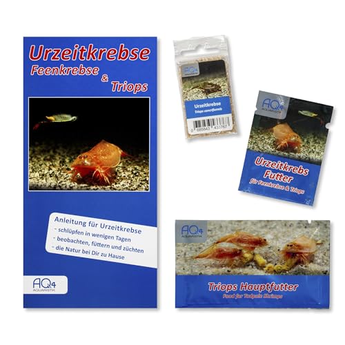 AQ4Aquaristik Triops cancriformis - Starter Set ca. 100 Urzeitkrebse Eier - Urzeitkrebse Futter, Triops Hauptfutter und Anleitung - Europäischer Sommerschildkrebs AQ4Aquaristik Triops cancriformis - Starter Set ca. 100 Urzeitkrebse Eier - Urzeitkrebse Futter, Triops Hauptfutter und Anleitung - Europäischer Sommerschildkrebs von AQ4Aquaristik