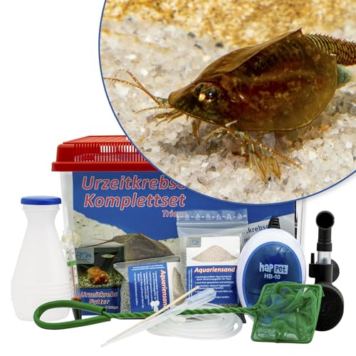 AQ4Aquaristik Triops cancriformis 6 Liter Komplettset mit Urzeitkrebseiern: Aquarium, Zuchtansatz, Filter, Luftpumpe, Zubehör, Futter und Anleitung von AQ4Aquaristik