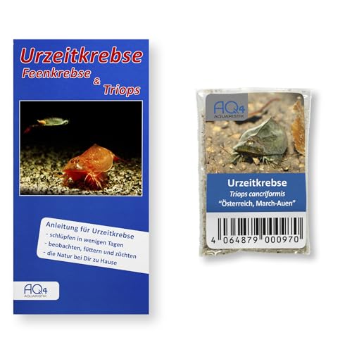 AQ4Aquaristik Triops cancriformis (March-Auen, Österreich) - ca. 100 Urzeitkrebse Eier - mit Anleitung von AQ4Aquaristik