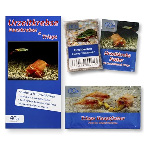 AQ4Aquaristik Triops sp. Gonochoric - Starter Set ca. 100 Urzeitkrebse Eier - mit Aufzuchtfutter, Hauptfutter und Anleitung von AQ4Aquaristik