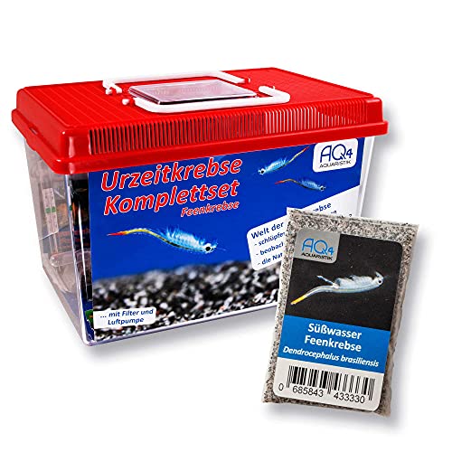 Feenkrebse Komplettset mit Urzeitkrebseiern: 6 l Aquarium, Filter, Luftpumpe, Zubehör, Zuchtansatz, Futter und Anleitung, Dendrocephalus brasiliensis von AQ4Aquaristik