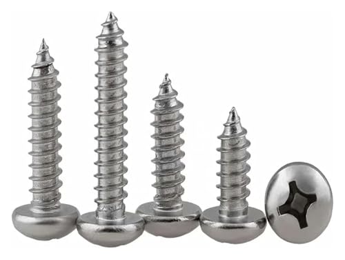 10 Stück M6 Diebstahlsicherungsschrauben 304 Edelstahlschrauben Torx Flachkopfschrauben Maschinenschrauben Sicherheitsschraube(M6*30mm) von AQCDPJYU