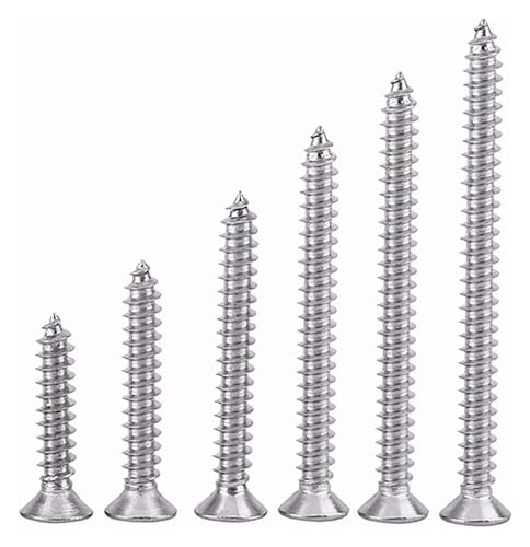 100 Stück M3 Edelstahl-Kreuzschlitz-Blechschrauben mit flachem Kopf for Holz, Metall oder robuste Materialien(M3*12mm) von AQCDPJYU