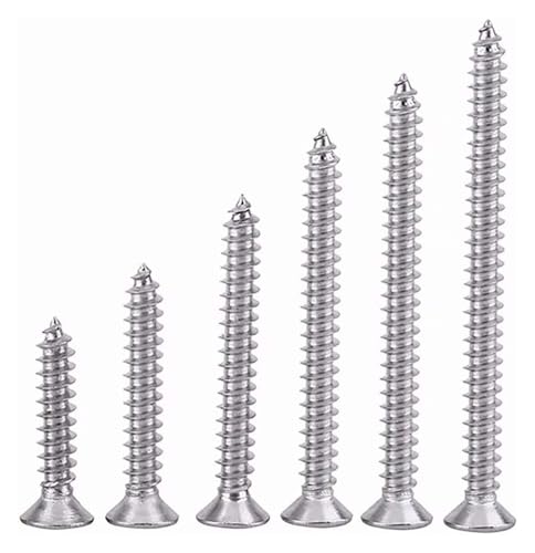 50 Stück M5 Edelstahl Phillips Flachrundkopf Selbstschneidende Selbstbohrschrauben(M5*20mm) von AQCDPJYU