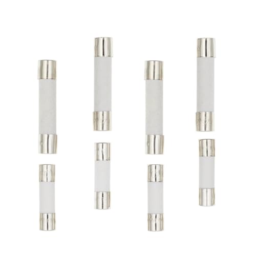 Keramische Haushalts-Netzsicherung, 10 Stück, 5 x 20 mm, 6 x 30 mm, flinke Röhre, 250 V, 0,5 1 2 3 4 5 6 8 10 15 20 25 30 A, AMP 5 x 20 6 x 30, verlangsamt die Autosicherung(QUICK BREAK F6A) von AQCDPJYU