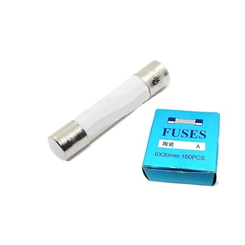 Keramische Haushalts-Netzsicherung, 10 Stück 6 * 30 mm Flinke Sicherung 250 V 0,5 A 1 2 3 4 8 13 15 16 20 25 RO58 Schnelle(10A) von AQCDPJYU
