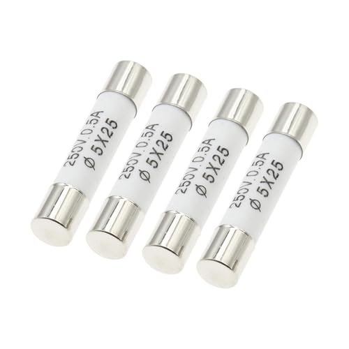 Keramische Haushalts-Netzsicherung, 10 Stück RO55 Flinke Sicherung 5 x 25 mm 250 V 0, A 1 2 3 4 6 8 15 20 30(10PCS 20A) von AQCDPJYU
