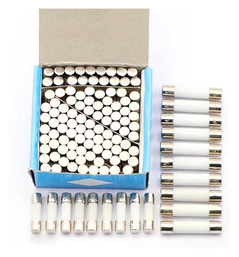 Keramische Haushalts-Netzsicherung, 10 Stück Rohr 5 x 20 mm, 250 V, Sicherung, Sicherungsrohr, Multimeter, 1A, 2A, 3A, 5A, 10A, 15A, 30 A(6x30 4a) von AQCDPJYU