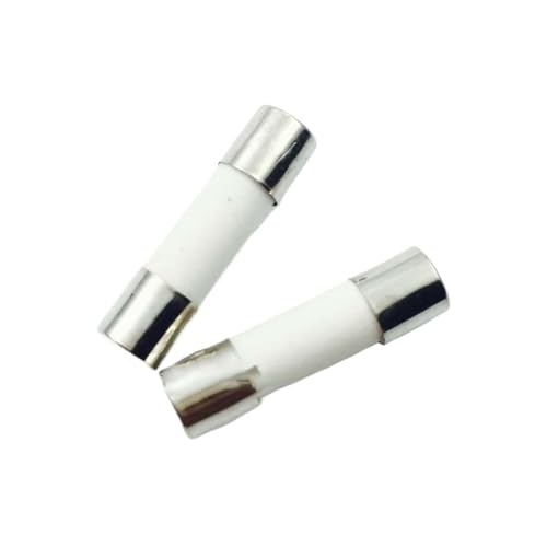 Keramische Haushalts-Netzsicherung, 20 Stück 5 × 20 mm 250 V 0,5 A 1 A 2 A 2,5 A 3 A 3,15 A 4 A 5 A 6 A 6,3 A 8 A 10 A 15 A 20 A 25 A 30 A(0.5A) von AQCDPJYU