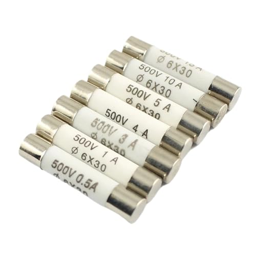 Keramische Haushalts-Netzsicherung, 5 Stück Patrone RO58 6 x 30 mm 500 V F 0, A 1 2 3 4 8 10 13 15 16 20 25 Flink BS1362 *(20A 500V) von AQCDPJYU