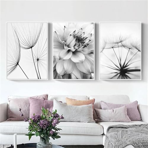 AQCQDQ 3er Poster Set, Löwenzahn Bilder Set, Modern Schwarz Weiß Pusteblume Feder Leinwandbilder Wandbilder Kunstplakat Wanddeko - ohne Rahmen (21x30 cm,B) von AQCQDQ