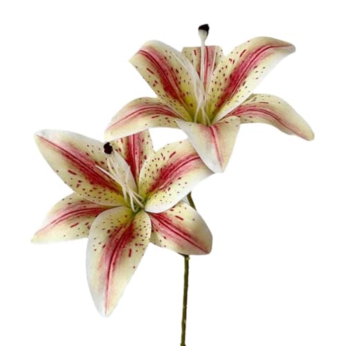 AQCQDQ 5 Stück Künstliche Blumen Wie Echt Lilien, Realistisch Blumensträuße Natürliche Lilie, Künstliche Lilien Blumen, Lilie Kunstblumenstrauß Deko für Heimdekoration Tischdekoration Hochzeit (G) AQCQDQ 5 Stück Künstliche Blumen Wie Echt Lilien, Realistisch Blumensträuße Natürliche Lilie, Künstliche Lilien Blumen, Lilie Kunstblumenstrauß Deko für Heimdekoration Tischdekoration Hochzeit (G) von AQCQDQ