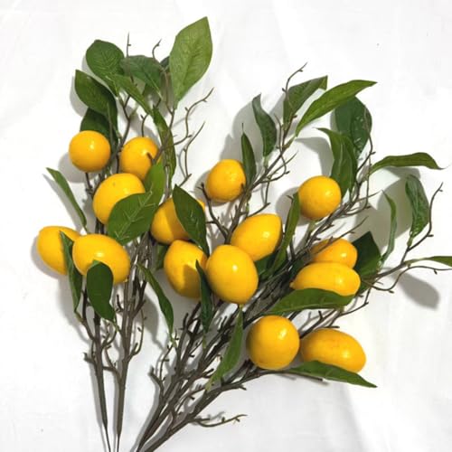 AQCQDQ 5 Stück Simulation Obst Zitrone Zweig Hause Dekoration, Lebendige Gelbe Gefälschte Zitronenzweige, Hause Dekoration Schaum Obst Garten Landschaftsbau Dekoration Ornamente AQCQDQ 5 Stück Simulation Obst Zitrone Zweig Hause Dekoration, Lebendige Gelbe Gefälschte Zitronenzweige, Hause Dekoration Schaum Obst Garten Landschaftsbau Dekoration Ornamente von AQCQDQ