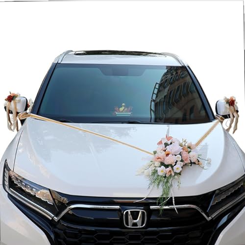 AQCQDQ 8 Stück Set Hochzeit Autoschmuck, Hochzeit Autoschleifen mit Saugnäpfen, Rückspiegel Türgriff Motorhaube Künstliche Blume für Hochzeit Empfang Zeremonie (Rosa) von AQCQDQ