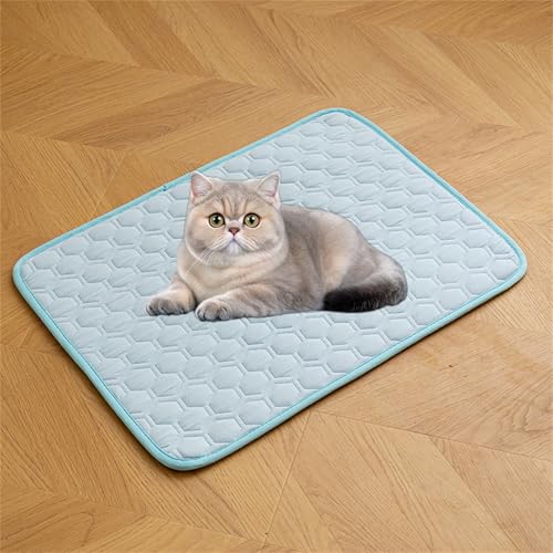 AQCQDQ Kühlmatte Hund, Sommer Selbstkühlend Kühldecke Für Hunde Katzen, Waschbares Komfortabel Kühlbett Haustiermatte Aus Eisseide Für Sofa, Fußboden, Auto (Blau-#b,75x48 cm) von AQCQDQ