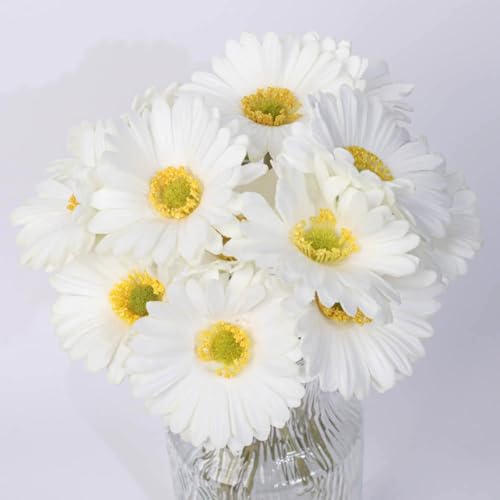 AQCQDQ Künstliche Gerbera Gänseblümchen, Lebensechte Künstliche Pflanzen, Braut Hochzeitsstrauß, für den Innen und Außenbereich, Haus, Garten, Büro, Hotel, Hochzeit, Party (Weiß,7 Stücke) von AQCQDQ