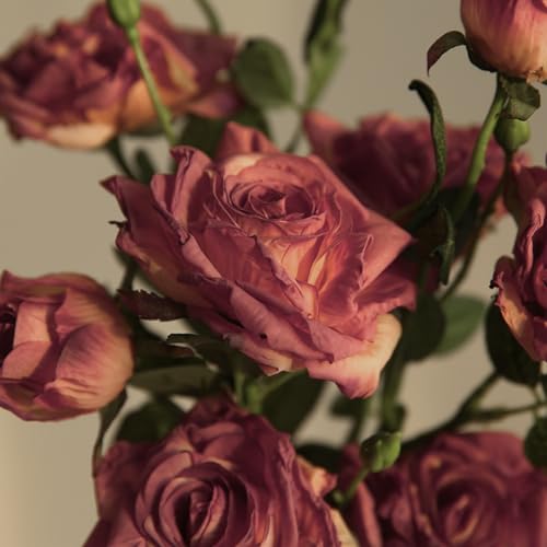 AQCQDQ Künstliche Vintage Rosen, Realistische Rose Gefälschte Blume, Langstiel Gefälschte Seidenrosen Simulation Blume, Romantische Vintage Rosen Blumendekoration für Party, Heim (Rot,5 Stück) von AQCQDQ